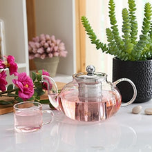 Load image into Gallery viewer, Good Clear Borosilicate Glass Teapot With 304 Stainless Steel Infuser Strainer Heat Resistant Loose Leaf Tea Pot Tool Kettle Set

