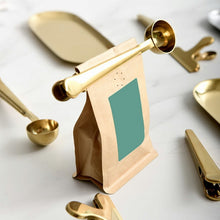 Load image into Gallery viewer, Sainless Steel Coffee Spoon With Bag Seal Clip Multifunctional Coffee Measuring Spoon Gold Sliver Ice Cream Spoon
